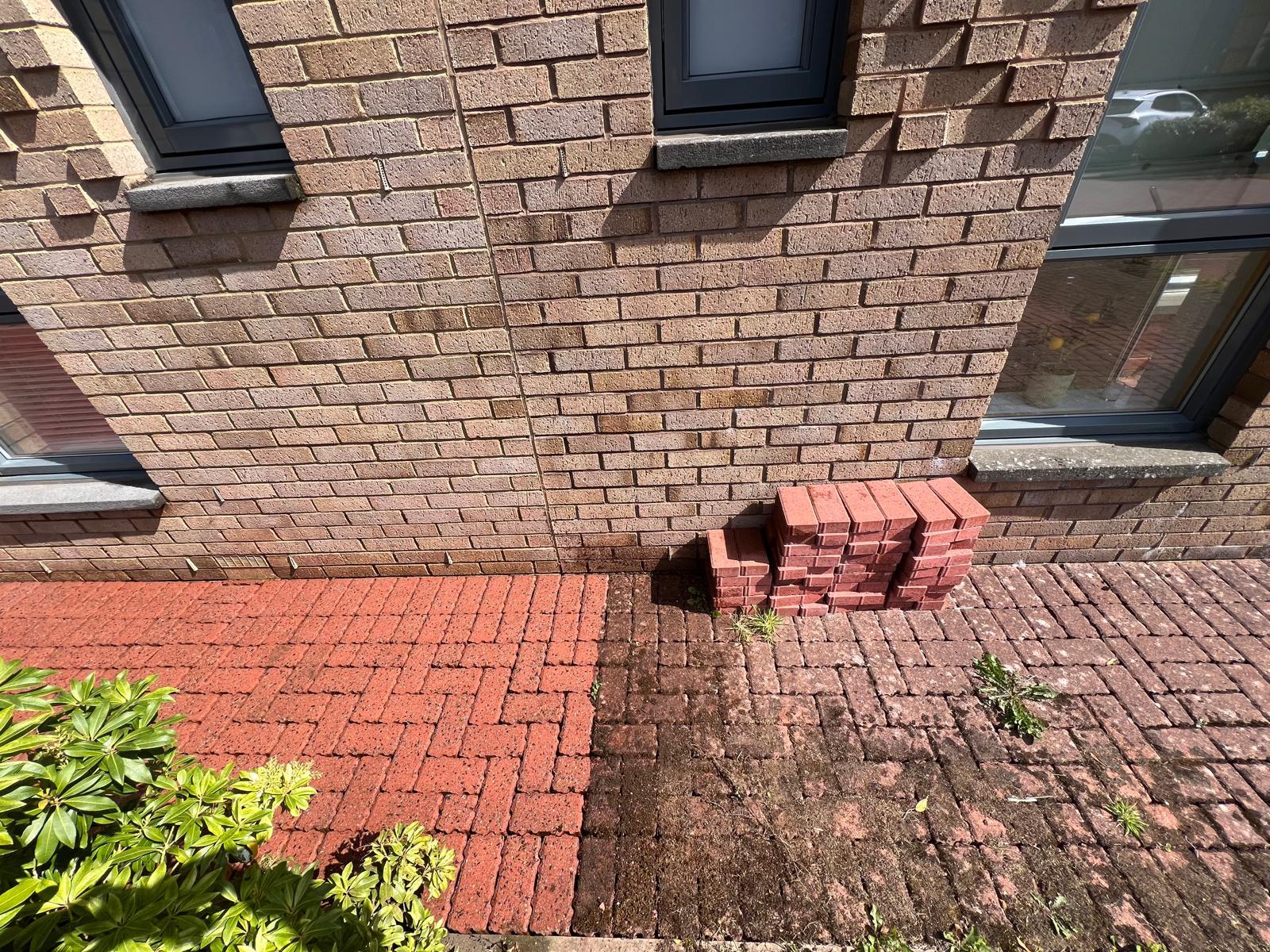 Moss Removal - Professional cleaning service in Glasgow